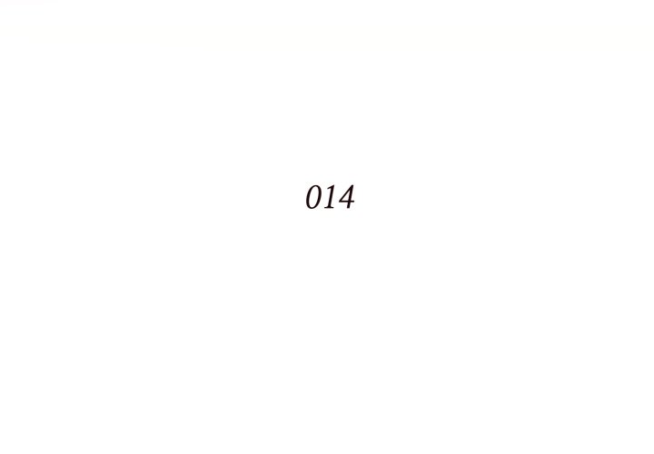 Hidden Past Chapter 14 - HolyManga.Net