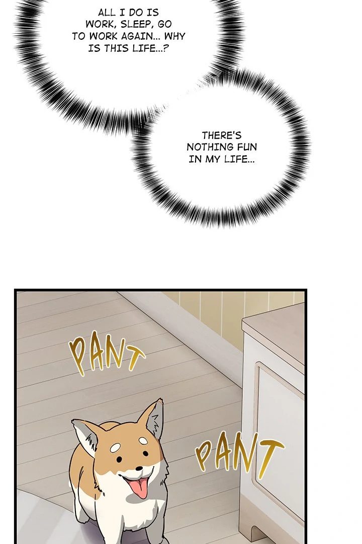 I Became A Dog?! Chapter 12 - HolyManga.Net