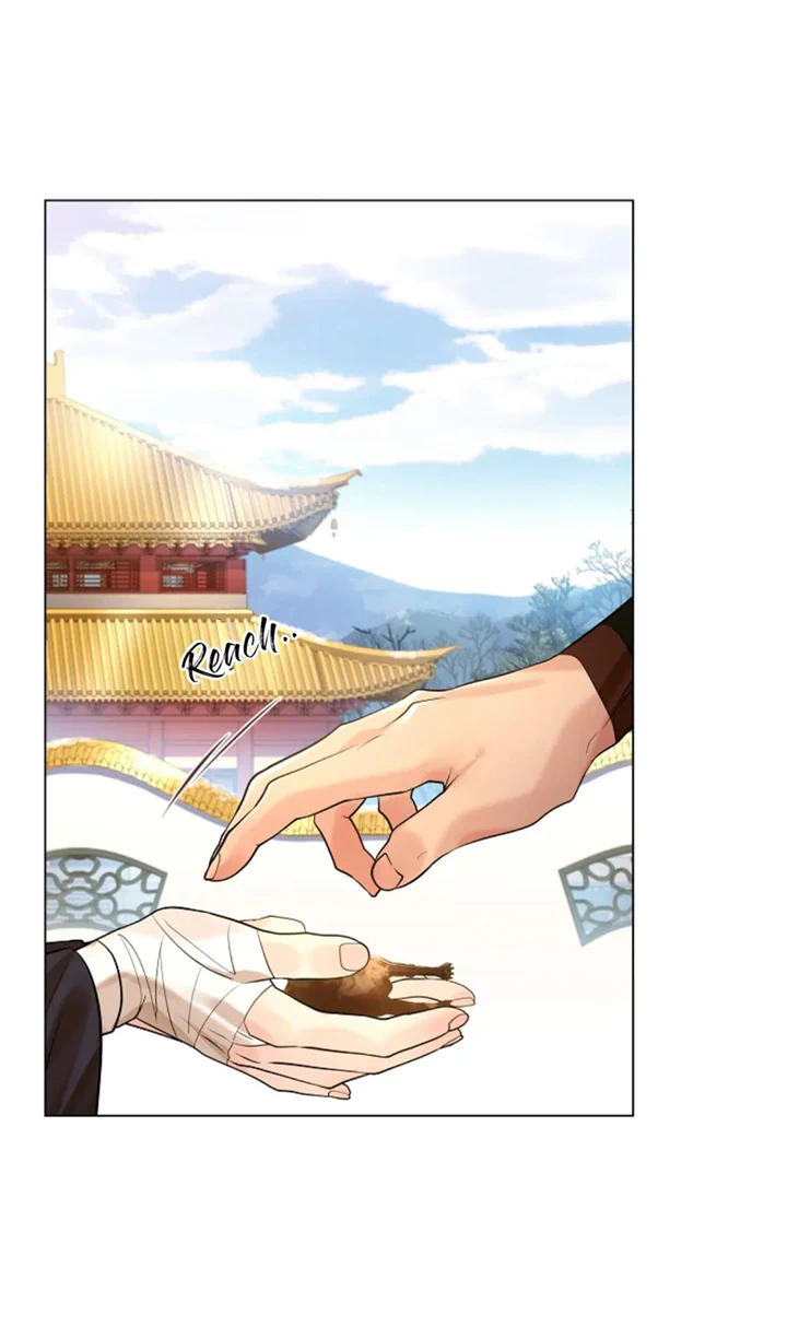 Paper Flower Chapter 63 - HolyManga.Net